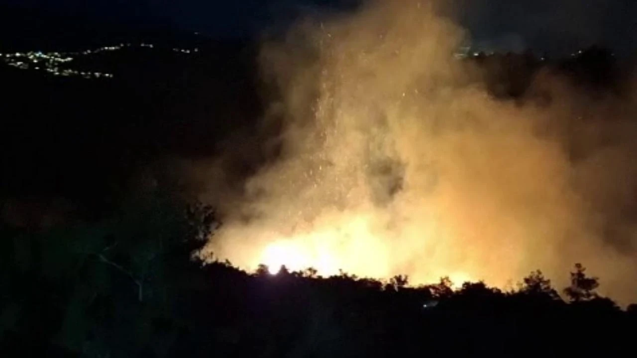 Hatay'da orman yangını, büyümeden söndürüldü
