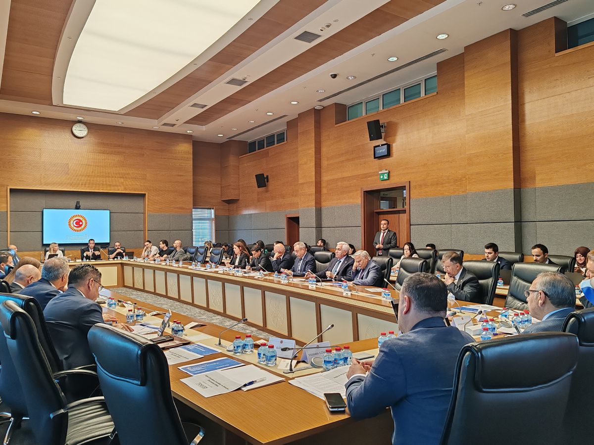 TBMM Komisyonu: Dijital oyunlar tek başına şiddet nedeni değil