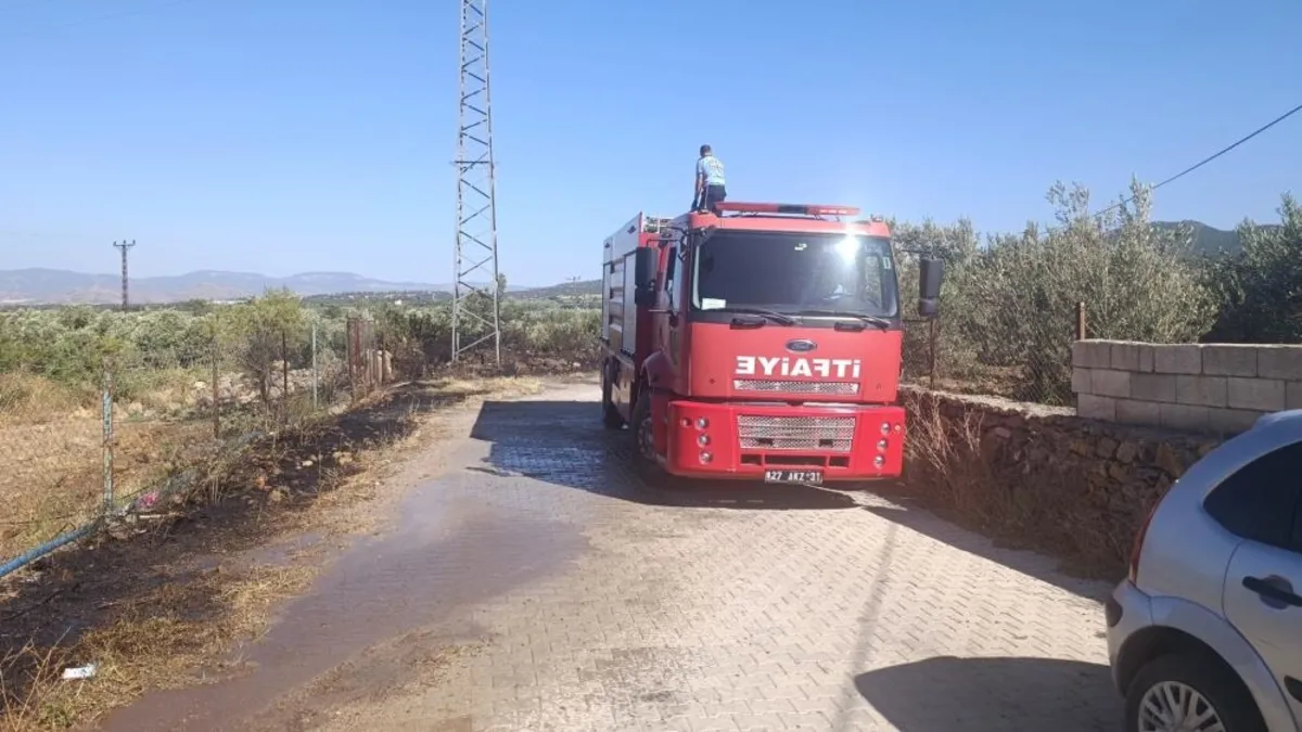 Gaziantep'te zeytinlik alanda çıkan yangın söndürüldü