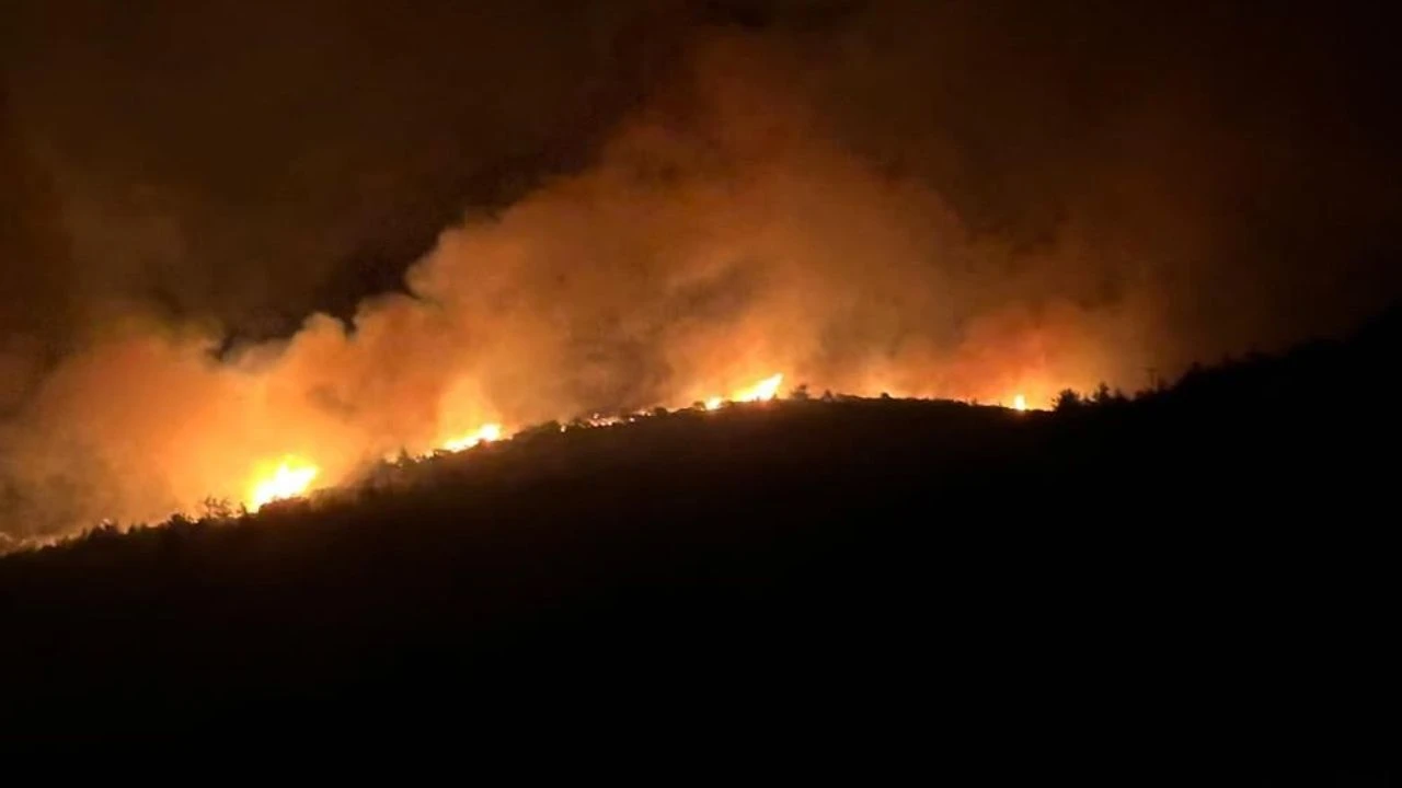 Milas'ta yangın çıktı