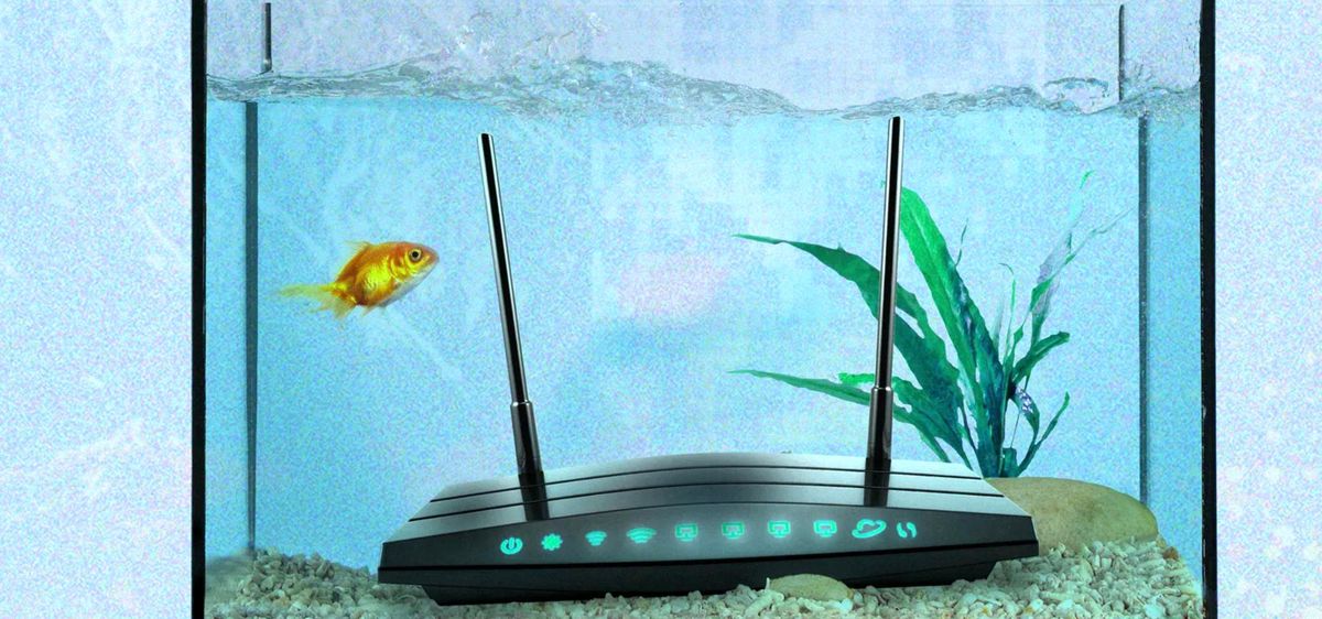 Wifi sinyalinizi bozan en tuhaf şeyler ve iyileştirmenin yolları