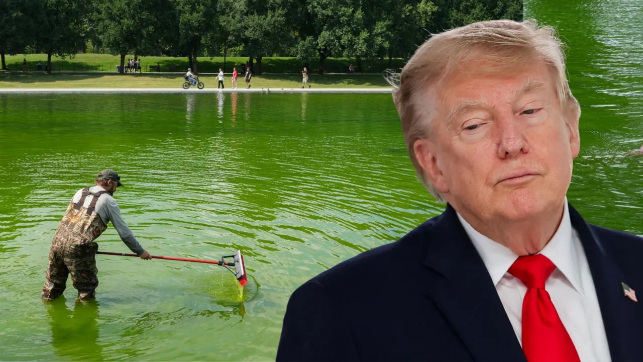 'ABD bayrağı mavisi' olacaktı! Trump’ın 14 milyon dolarlık havuz planı hüsranla sonuçlandı