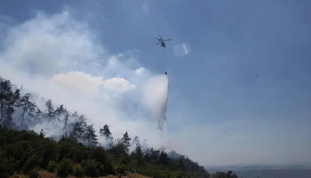 Balıkesir ve Diyarbakır'da orman yangınları