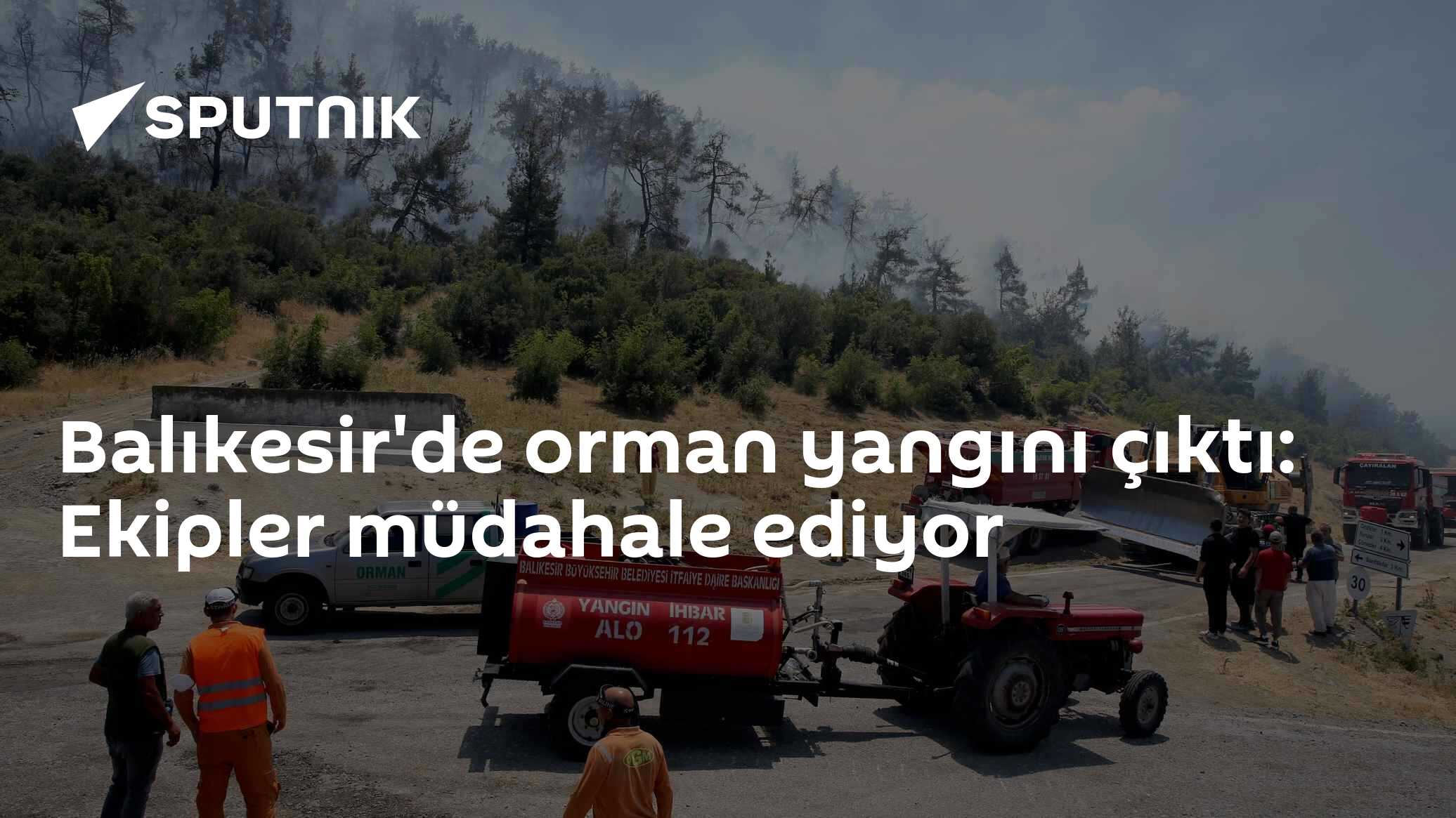 Balıkesir'de orman yangını çıktı: Ekipler müdahale ediyor