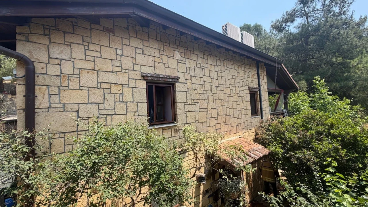 Ayvacık’ta ev yangını: 2 kedi hayatını kaybetti