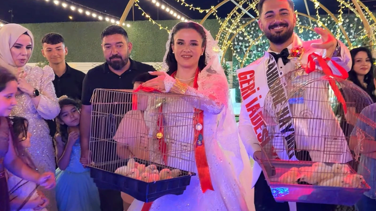 Düğünde altın yerine 100 civciv taktı