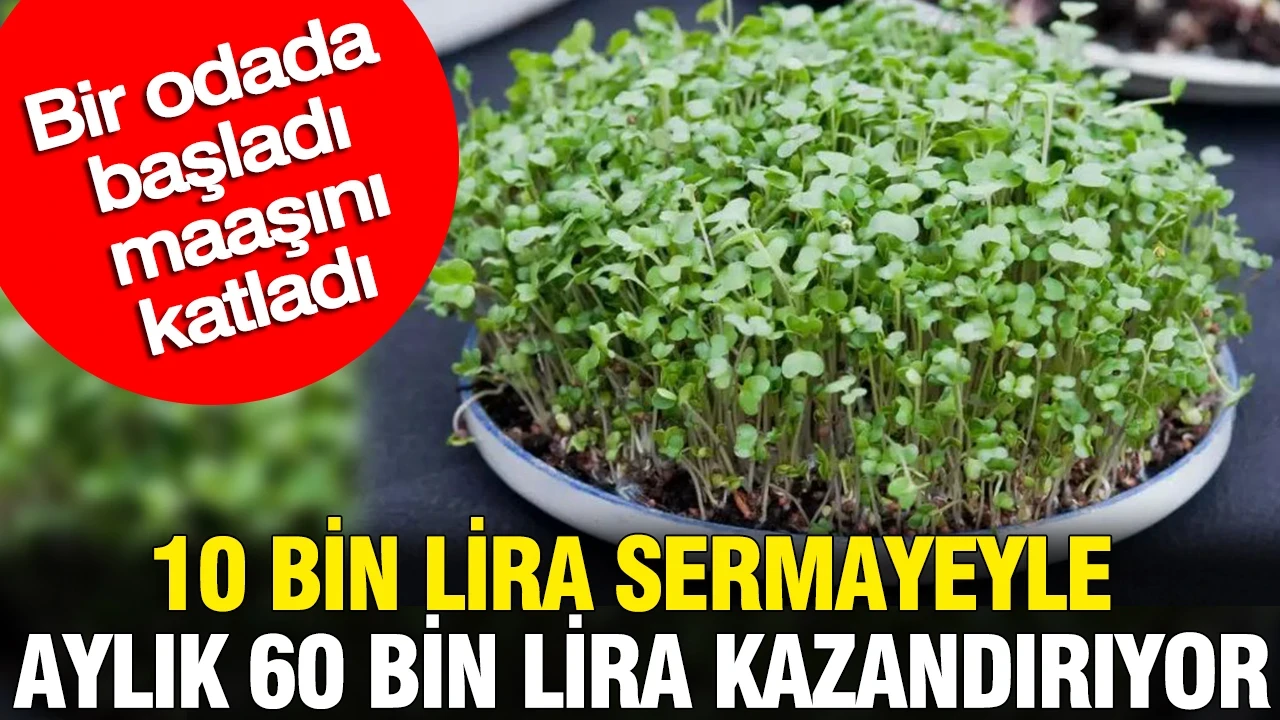 10 bin lira sermayeyle aylık 60 bin lira kazandırıyor: Bir odada başladı maaşını katladı