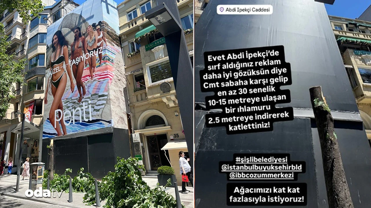 Şişlililer tepkili: Reklam panosu için ağaç kestiler