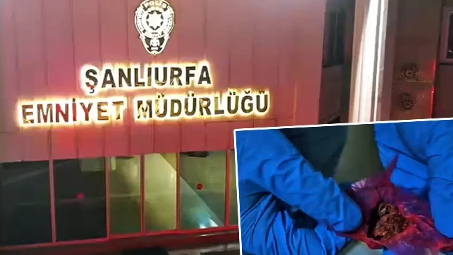 Şanlıurfa merkezli 11 ilde uyuşturucu operasyonu: 362 şüpheli hakkında yakalamdı