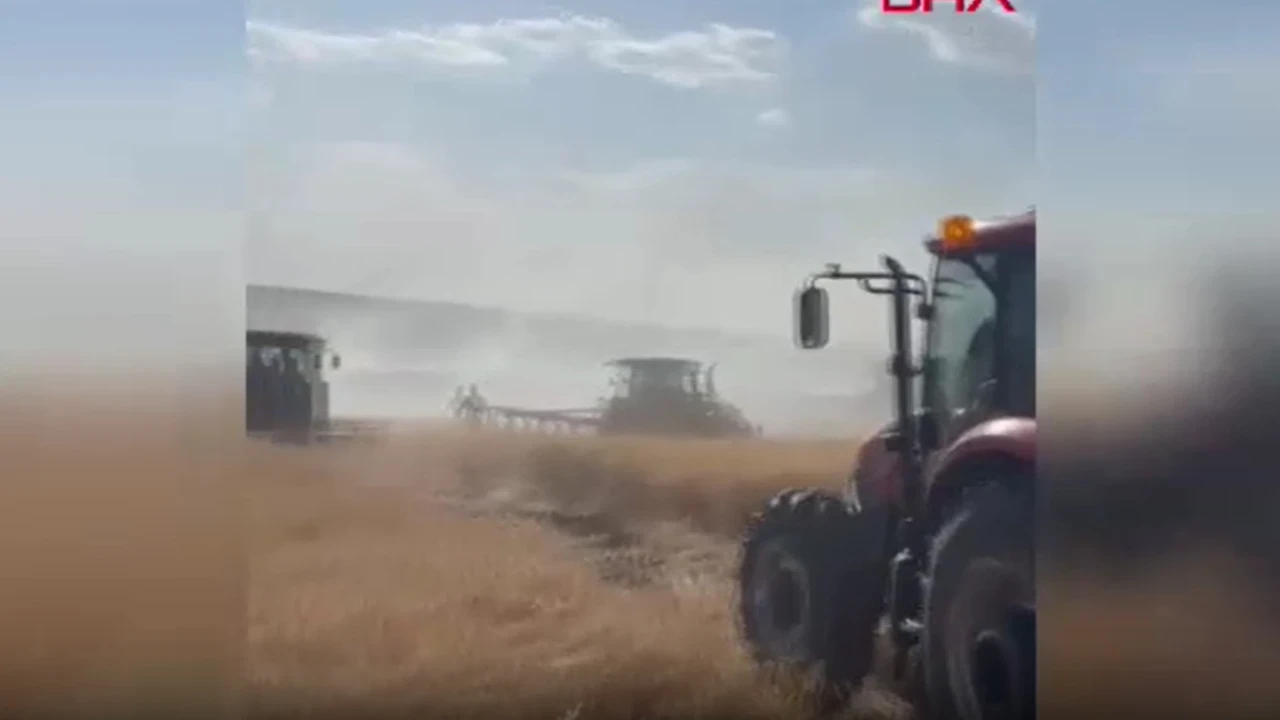 Mardin'de buğday tarlaları alevlere teslim oldu: 230 dönüm zarar gördü