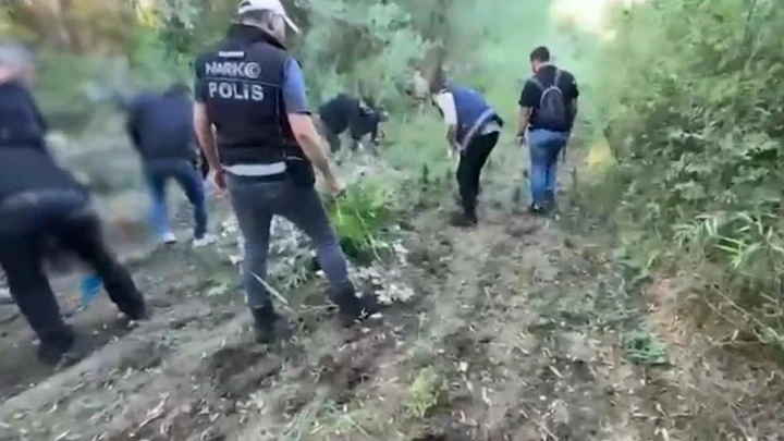 UNESCO Dünya Mirası Listesi'ndeki Hevsel Bahçeleri'nde 12 bin 174 kök Hint keneviri ele geçirildi