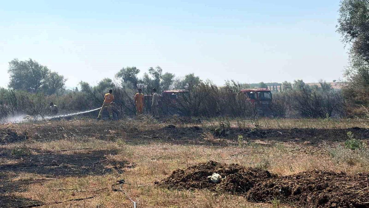 Balıkesir'de iki ayrı ilçede çıkan arazi yangınları kontrol altına alındı