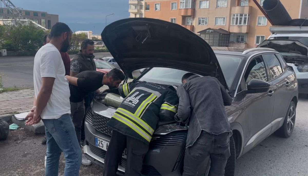 Otomobilin motor bölümüne sıkışan 2 yavru kedi kurtarıldı