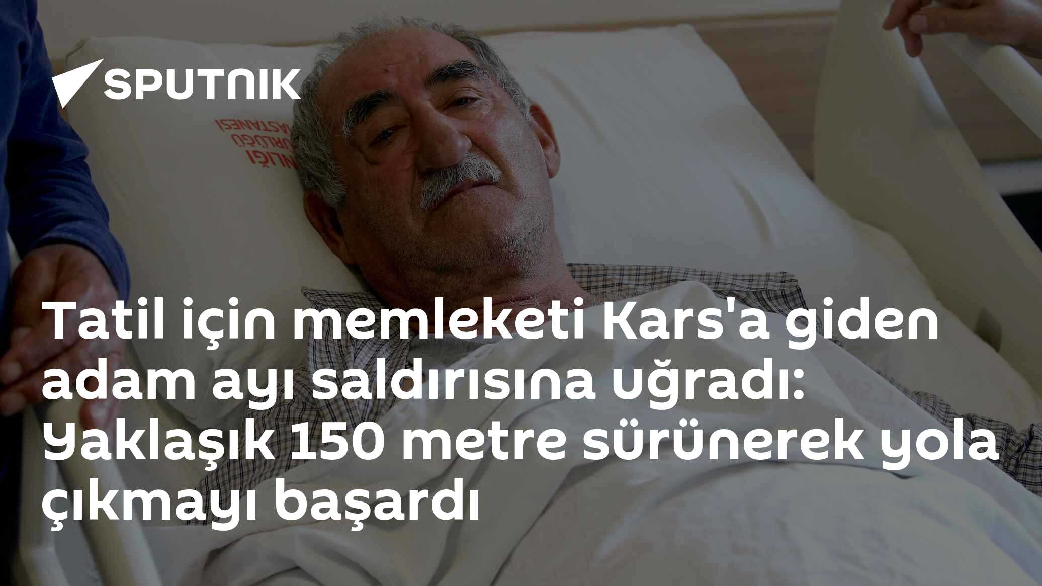 Tatil için memleketi Kars'a giden adam ayı saldırısına uğradı: Yaklaşık 150 metre sürünerek yola çıkmayı başardı