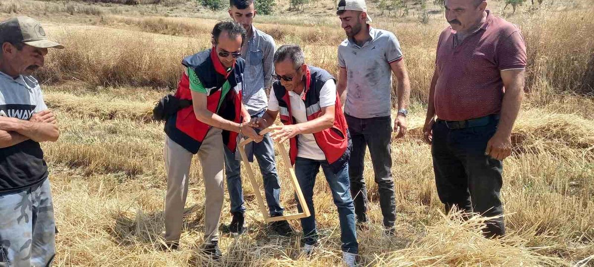 Tavşanlı'da biçerdöver kontrolleri sürüyor