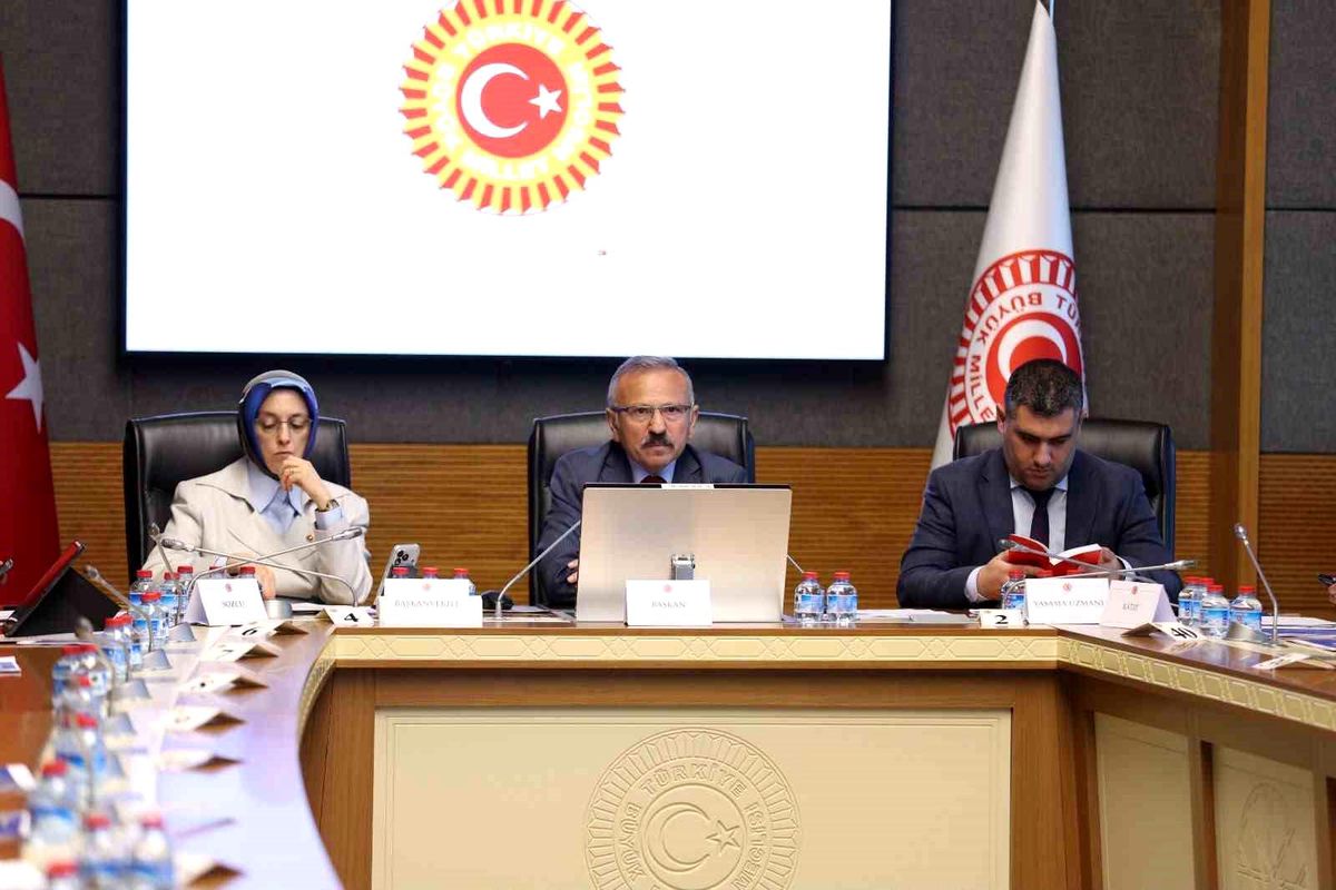 Meclis Komisyonu çocukları dijital risklere karşı koruyacak