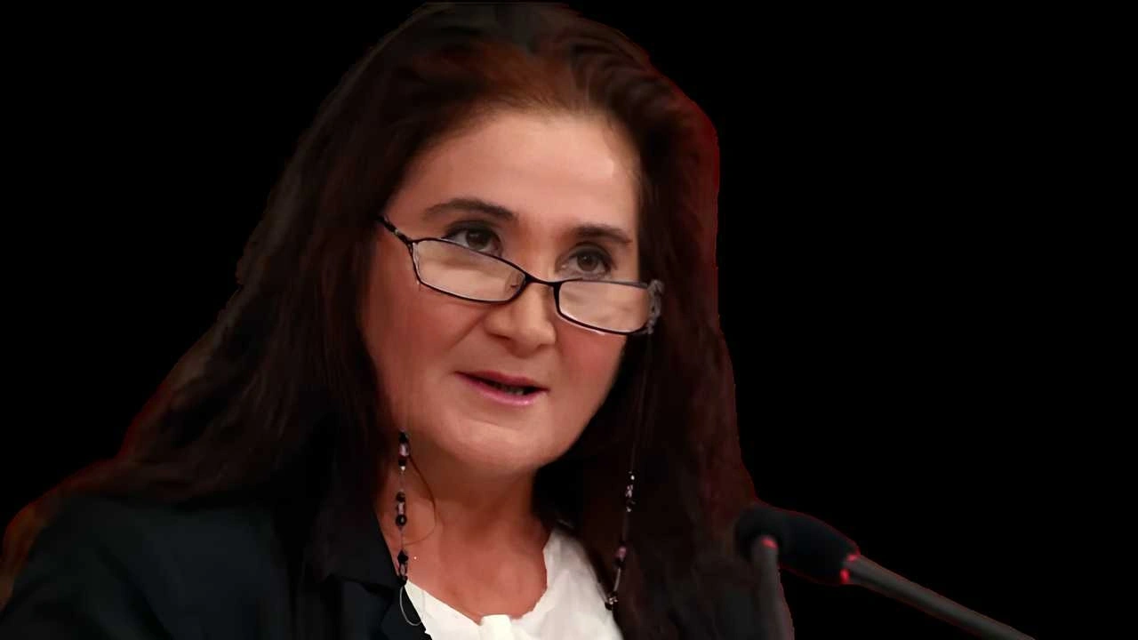 Sabahat Akkiraz'dan "Butlancılar" çıkışı: "Geldiğiniz gibi gideceksiniz"