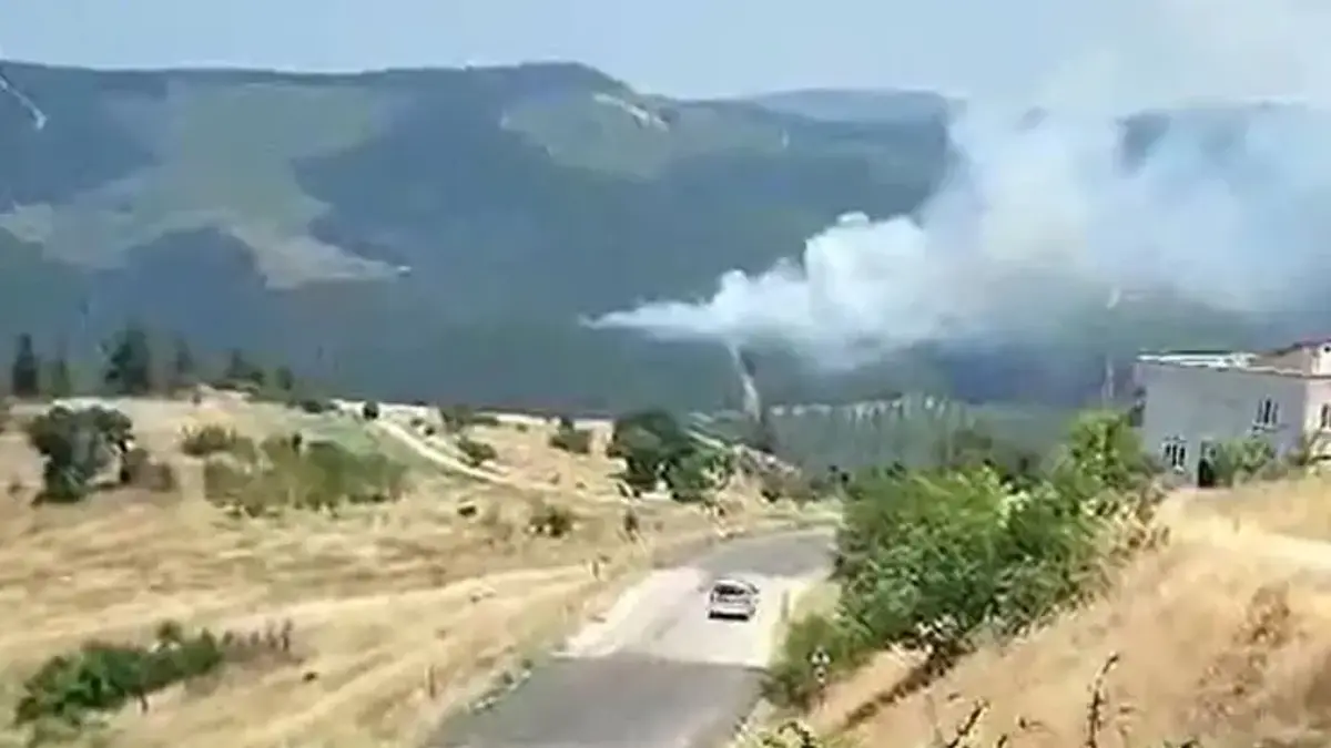 Bursa'da orman yangını! Ekipler sevk edildi