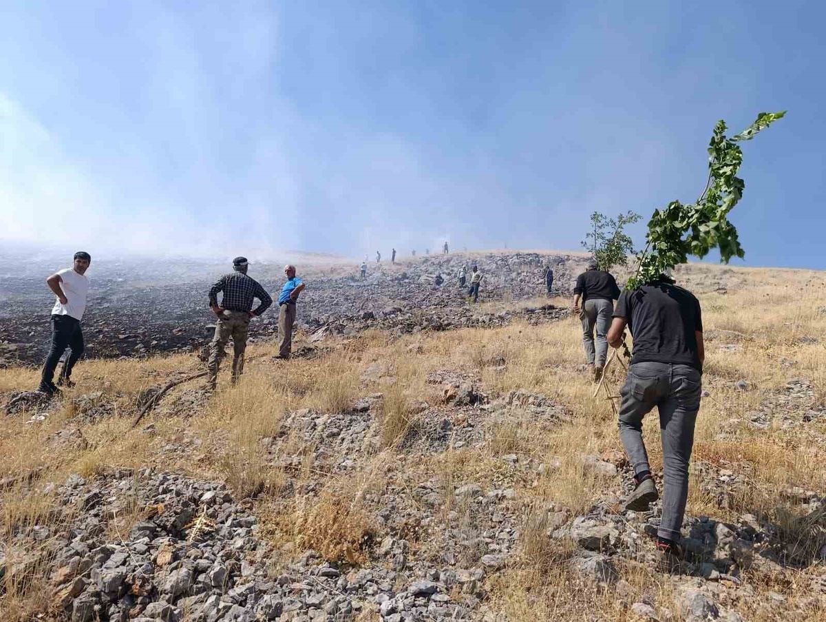 Malatya'da anız yangını: Ekipler müdahale ediyor