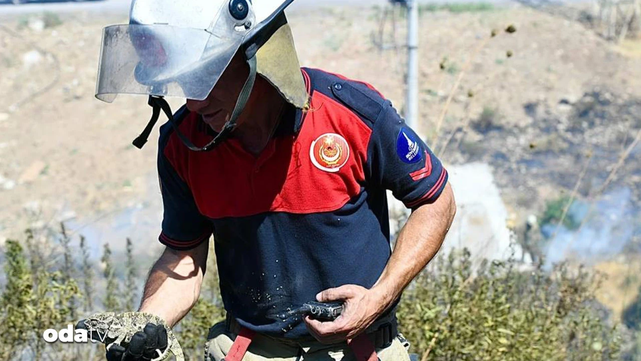 İzmir'de itfaiye bukalemunu kurtardı