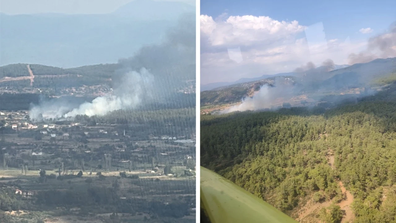 Muğla'da ortam yangını