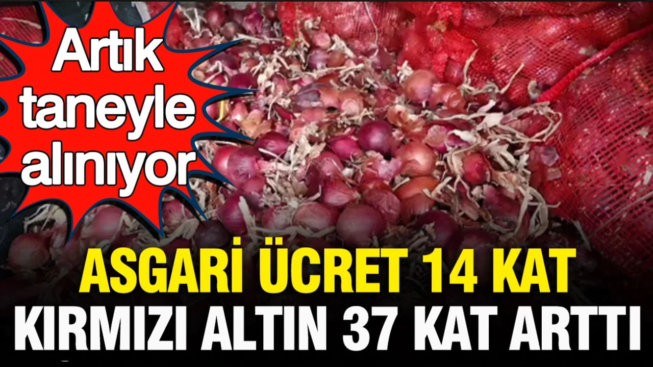 Artık taneyle alınıyor: Asgari ücret 14 kat, kırmızı altının fiyatı 37 kat arttı