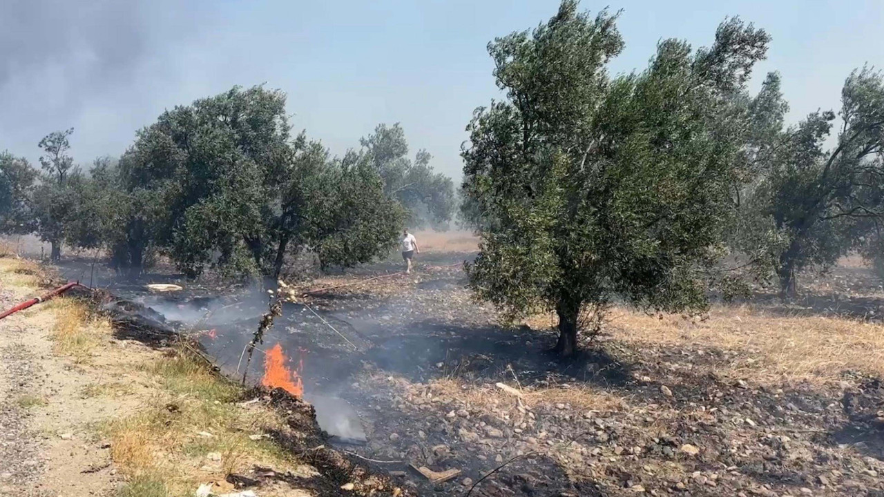 Edremit'te yangın! Tarım arazilerine sıçradı