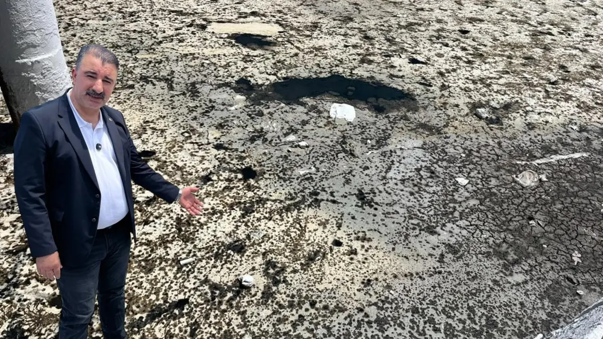 Maskesiz durulmuyor! Ege'nin incisi CHP elinde "kokunun ve bakımsızlığın" merkezi oldu