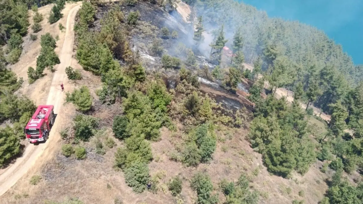Kahramanmaraş’ta orman yangını