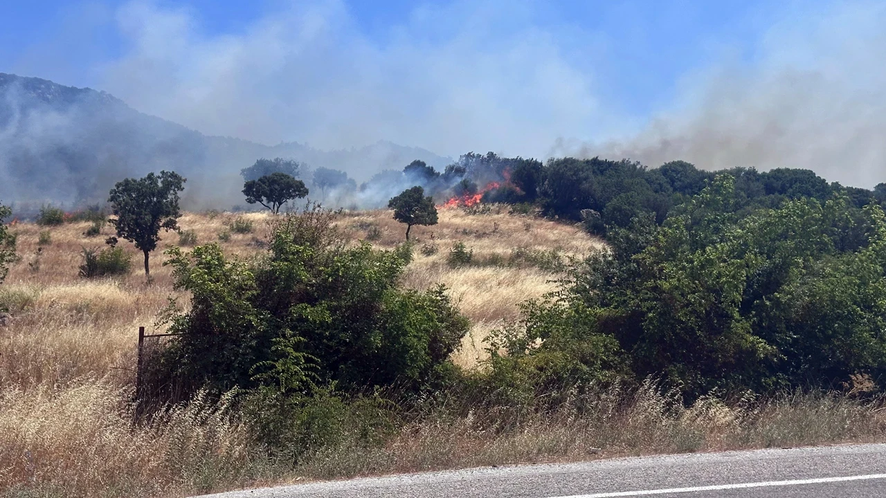 Çanakkale Ayvacık'ta Orman Yangını