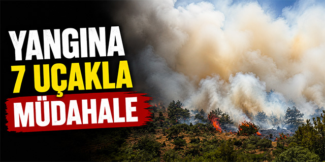 Dikili'deki yangına havadan 7 uçakla müdahale
