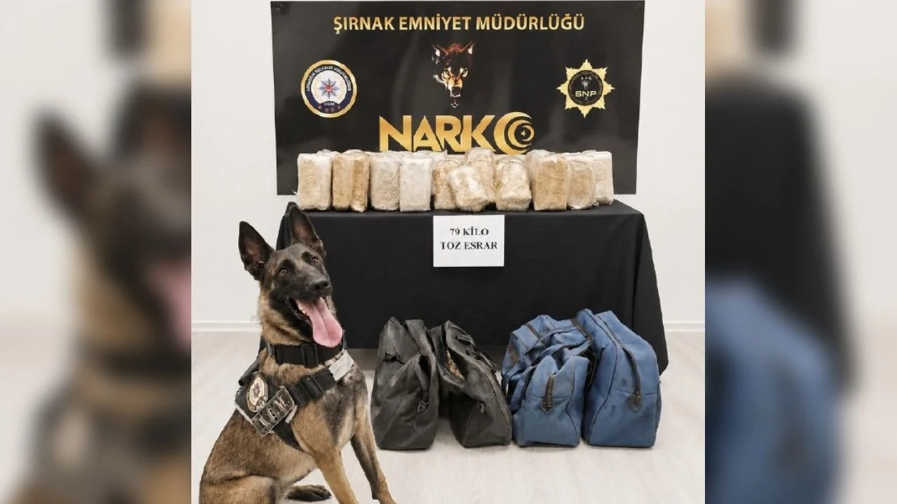 Şırnak'ta bir TIR'da 79 kilogram esrar bulundu