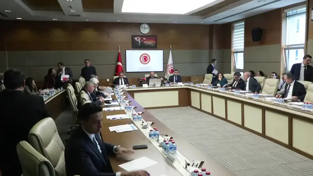 TBMM'DE AKADEMİSYENLER DİNLENDİ | Siber zorbalığın çocuklara etkisi ne?
