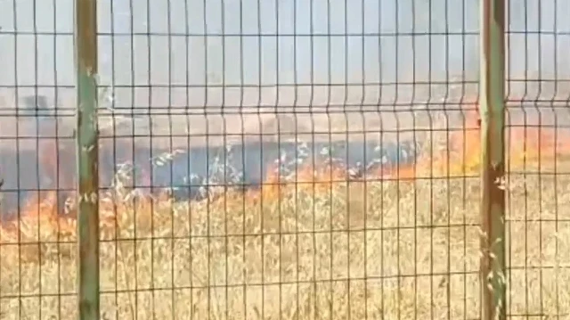 Şanlıurfa'da anız yangını okula sıçramadan söndürüldü