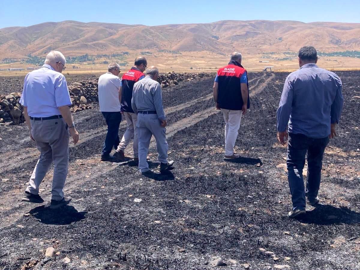 Elazığ'da küle dönen 70 dönümlük ekili alanda hasar tespit çalışmaları