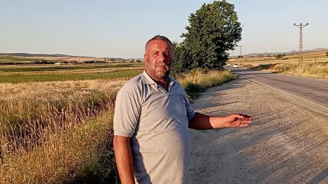 Tokat'ta binlerce kurbağa kara yoluna çıktı