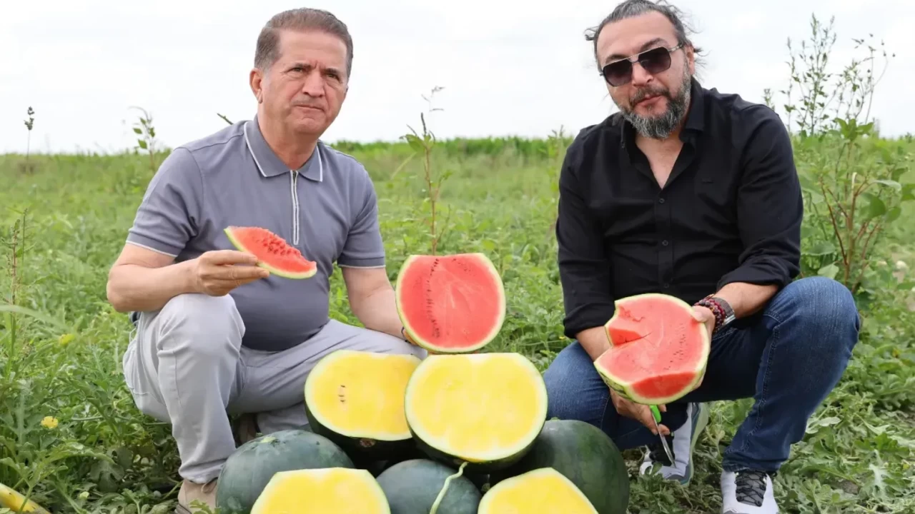 Adana'da yetişen kabuğu yeşil, içi sarı karpuz büyük ilgi görüyor