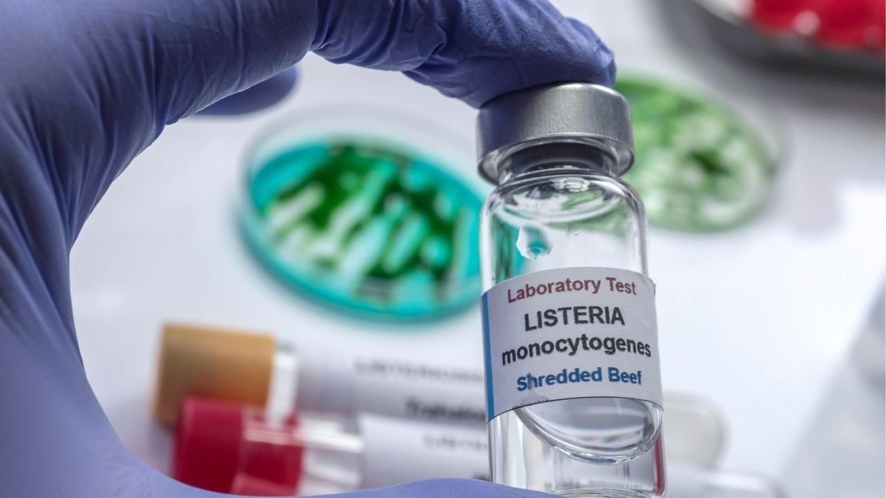 Listeria bakterisi hangi besinlerde bulunur, nereden bulaşır? Listeria belirtileri