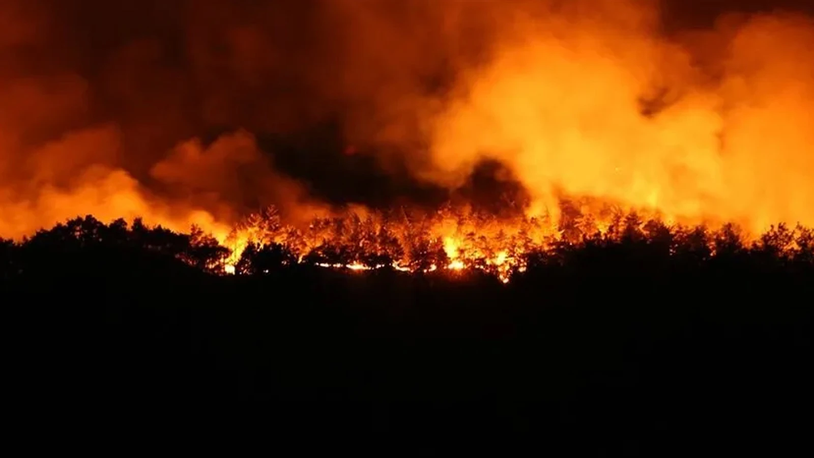 İzmir'de korkutan yangın: 6 kişi dumandan etkilendi