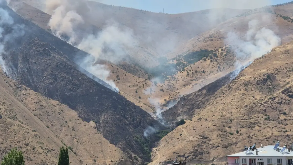 Elazığ'da örtü yangını