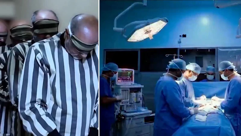 Esed rejiminin kan donduran organ ticareti itiraflarla ortaya çıktı