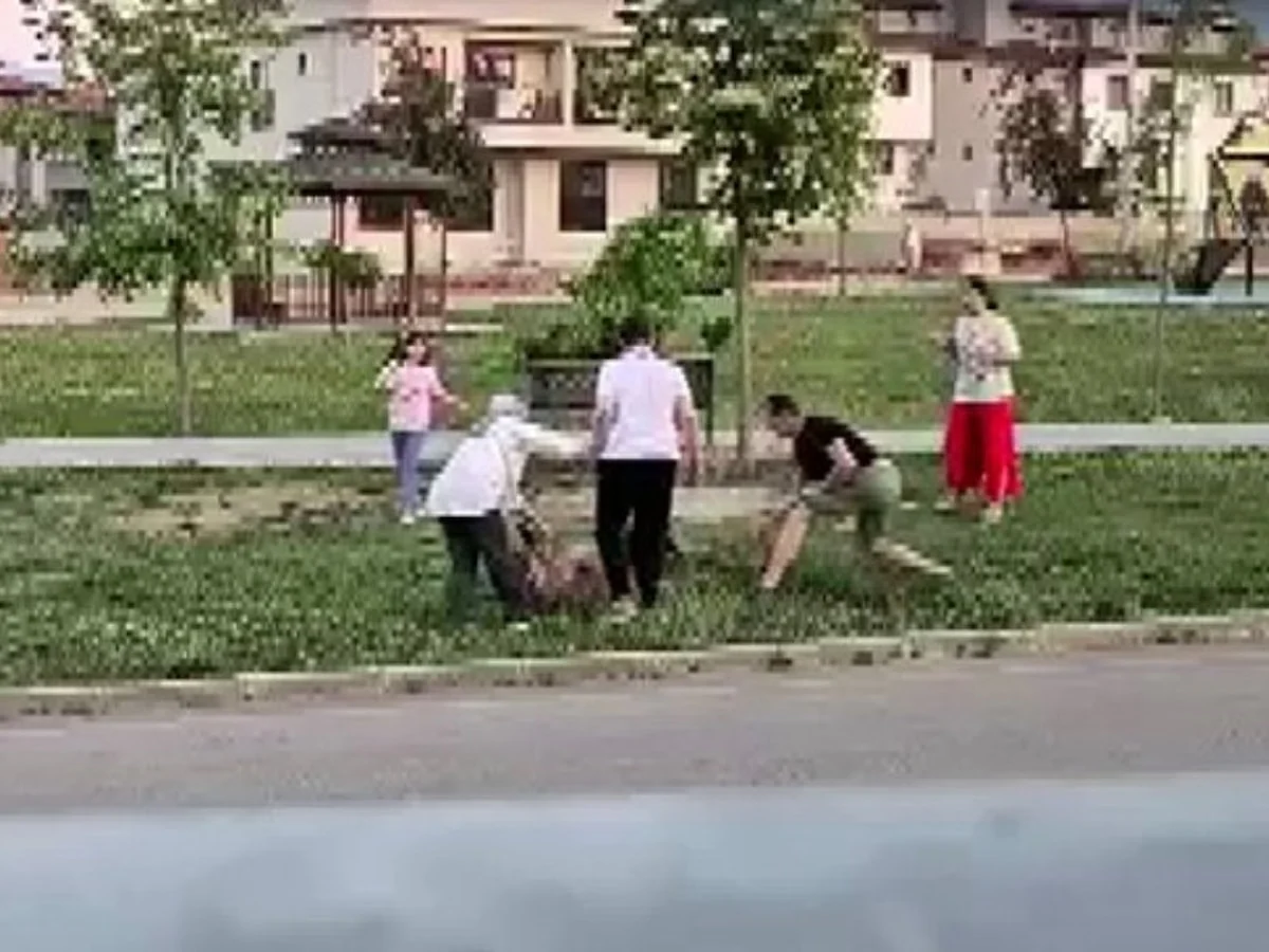 Denizli'de parkta dolaştırılan köpeğe başıboş köpek saldırdı