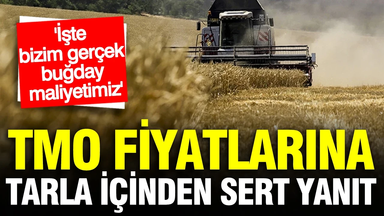 Tarladan TMO'ya 'Gerçek maliyet' yanıtı: 1 kilo buğday kaça üretiliyor?