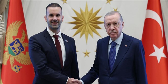 Cumhurbaşkanı Erdoğan, Karadağ Başbakanı Spajic'i kabul etti