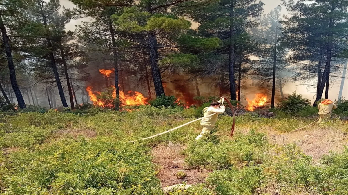 Bursa'da orman yangını: Alevlere 3 helikopterle müdahale