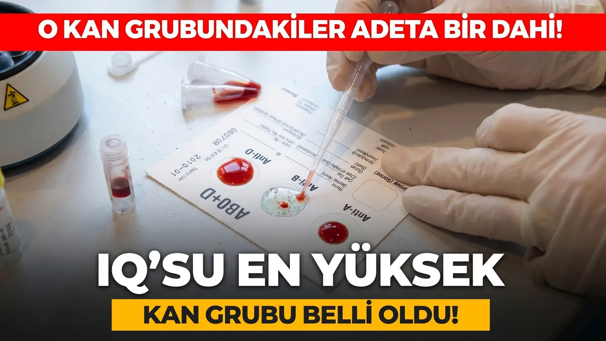 IQ’su en yüksek kan grubu hangisi? Japon bilim insanları açıkladı