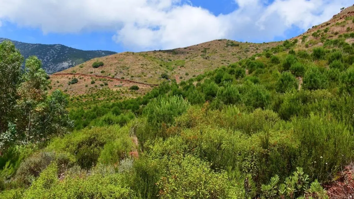Kars'ta ormanlık alanlara girişler yasaklandı
