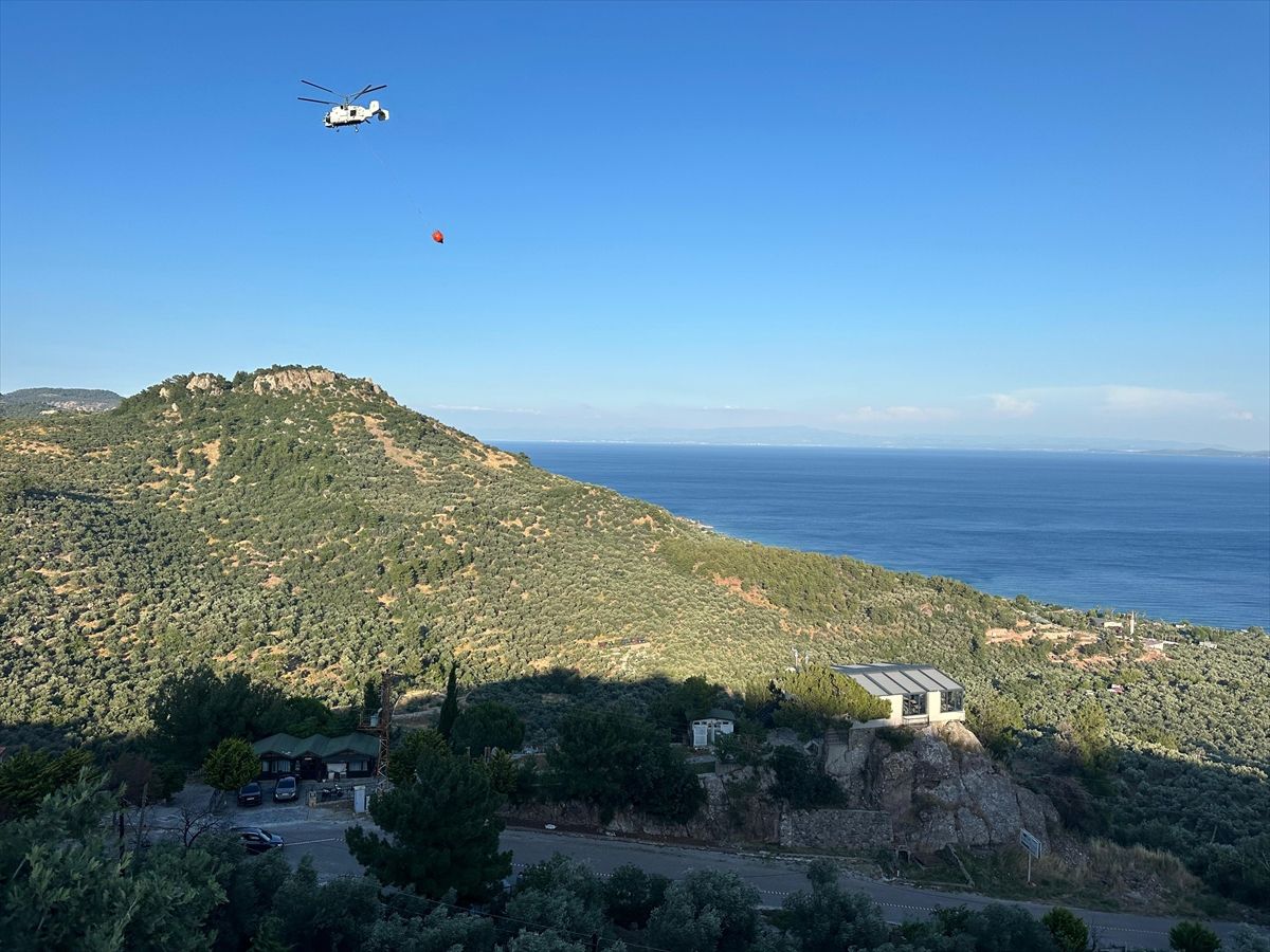 Çanakkale'de zeytinliklerin bulunduğu zirai alanda çıkan yangın söndürüldü