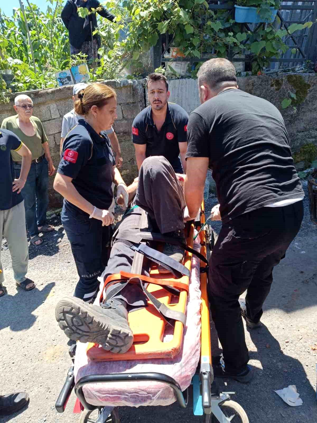 Alaplı'da 'pat-pat' kazası: 2 yaralı