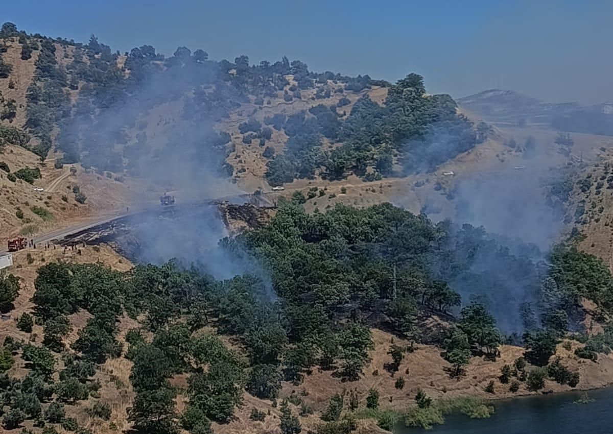 Kahramanmaraş'ta orman yangınları korkuttu